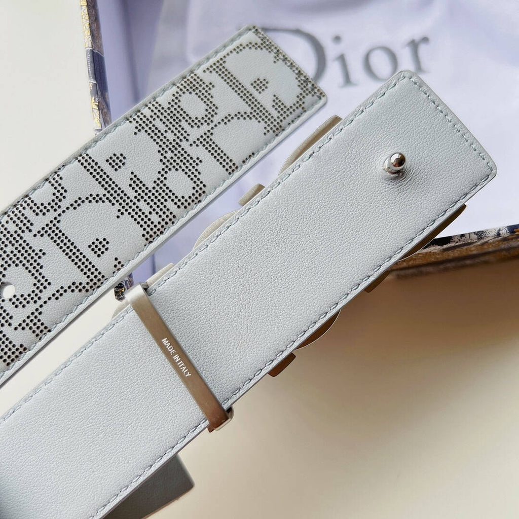 Dior Printed Silver Buckle Belt – DB019