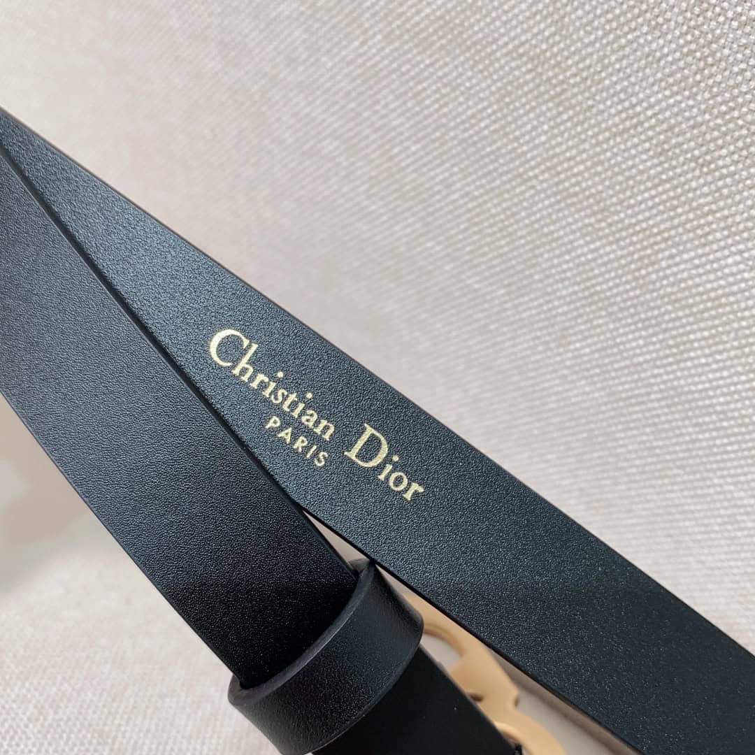 DIOR Plaque Reversible Belt – DB028